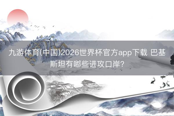 九游体育(中国)2026世界杯官方app下载 巴基斯坦有哪些进攻口岸？