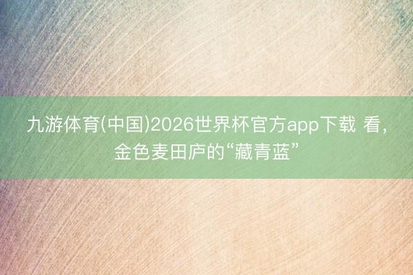 九游体育(中国)2026世界杯官方app下载 看，金色麦田庐的“藏青蓝”