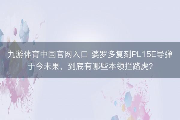 九游体育中国官网入口 婆罗多复刻PL15E导弹于今未果，到底有哪些本领拦路虎？