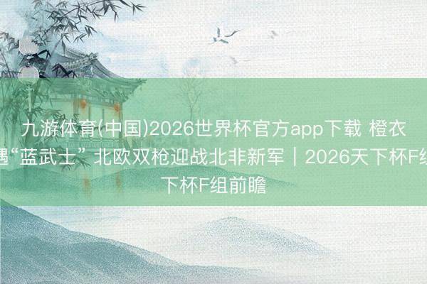 九游体育(中国)2026世界杯官方app下载 橙衣军团遇“蓝武士” 北欧双枪迎战北非新军｜2026天下杯F组前瞻