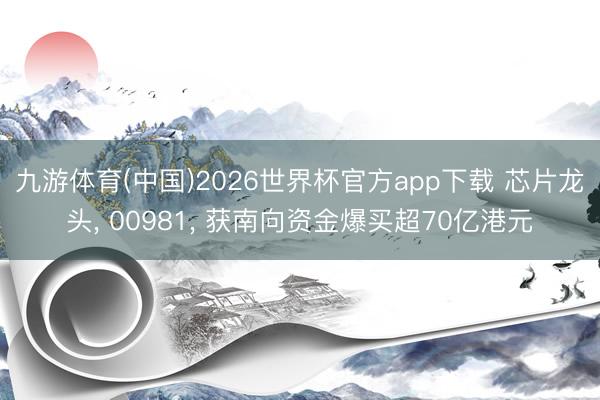 九游体育(中国)2026世界杯官方app下载 芯片龙头， 00981， 获南向资金爆买超70亿港元