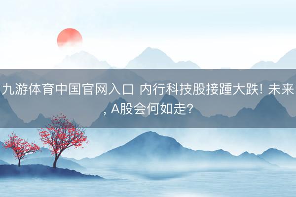 九游体育中国官网入口 内行科技股接踵大跌! 未来, A股会何如走?