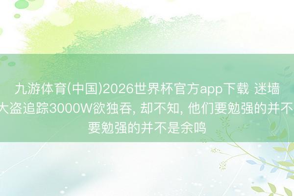 九游体育(中国)2026世界杯官方app下载 迷墙: 牝牡大盗追踪3000W欲独吞， 却不知， 他们要勉强的并不是余鸣