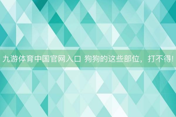 九游体育中国官网入口 狗狗的这些部位，打不得!